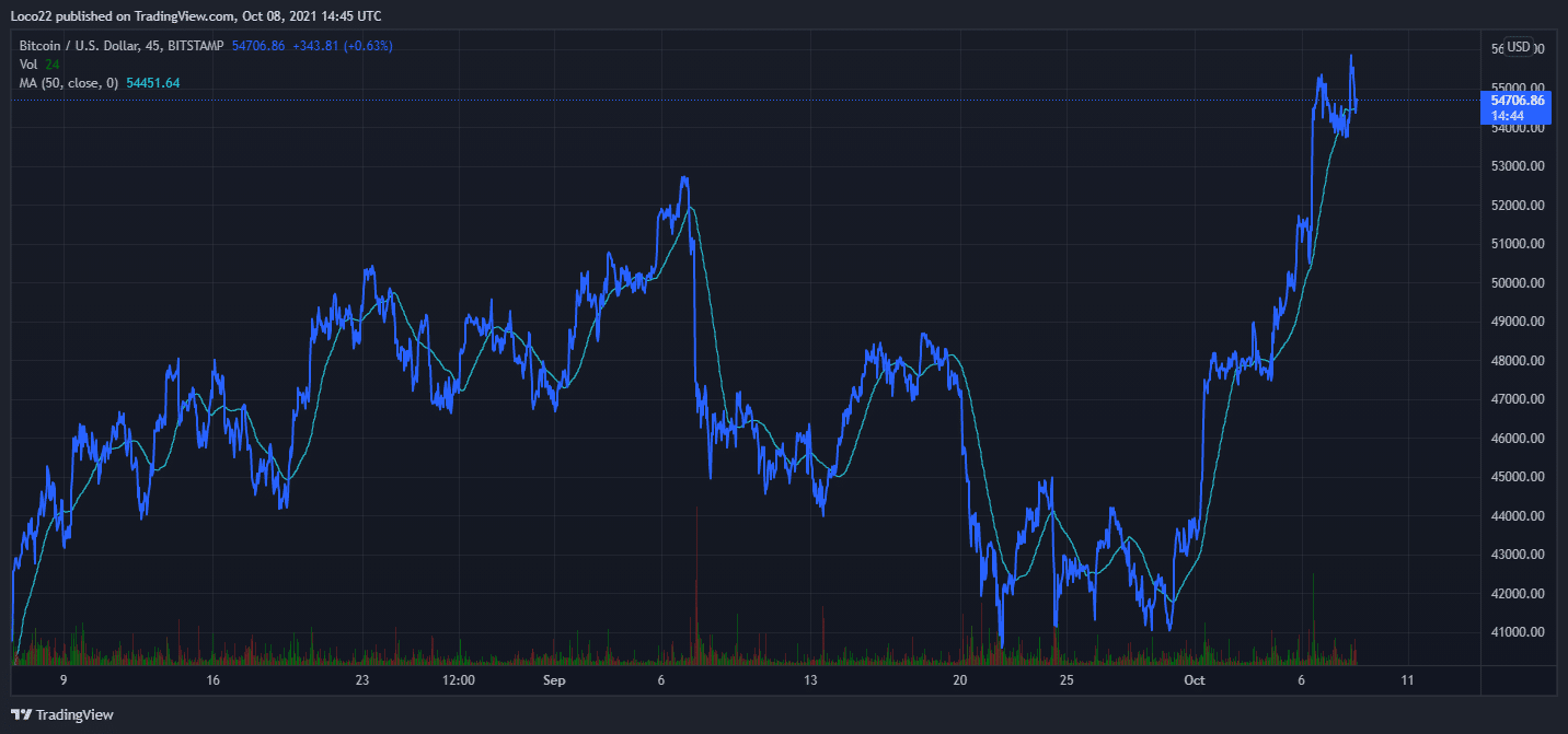 BTC/USD Price chart Source: TradingView